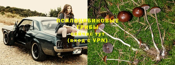 трава Горняк