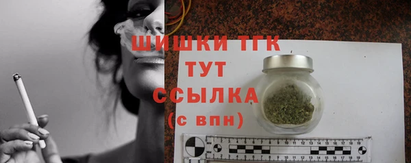 стаф Гусев
