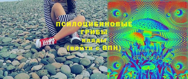 стаф Гусев