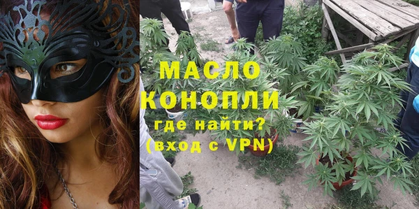 МДПВ Дмитриев